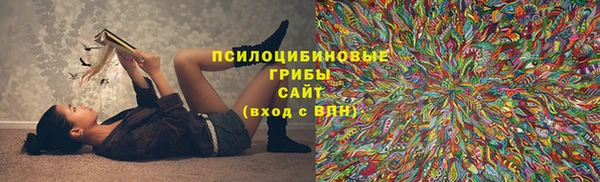 гидропоника Бугульма