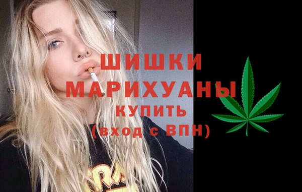 индика Усолье-Сибирское