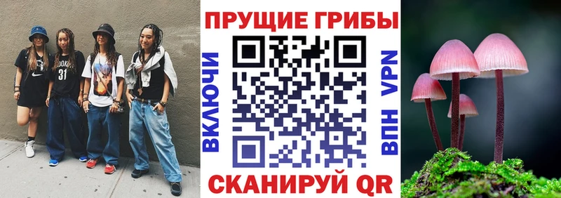 Псилоцибиновые грибы прущие грибы  где можно купить   Лыткарино 